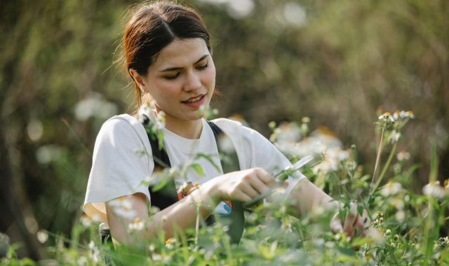 Operaciones generales de jardinería